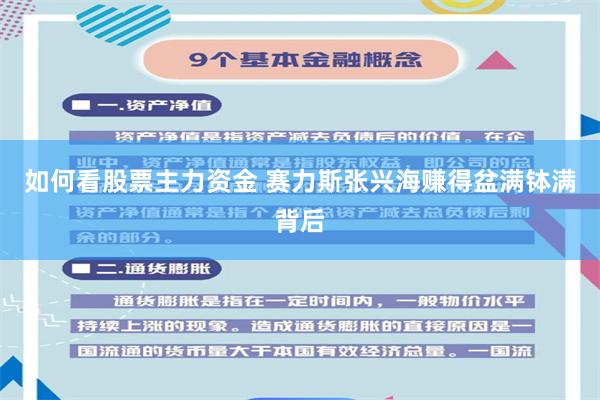 如何看股票主力资金 赛力斯张兴海赚得盆满钵满背后