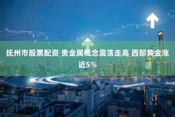 抚州市股票配资 贵金属概念震荡走高 西部黄金涨近5%