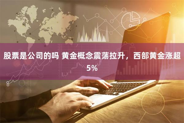 股票是公司的吗 黄金概念震荡拉升，西部黄金涨超5%